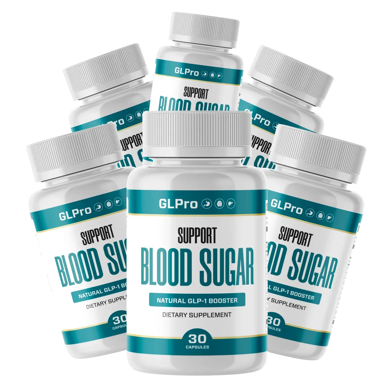 GLPro 6 bottle package