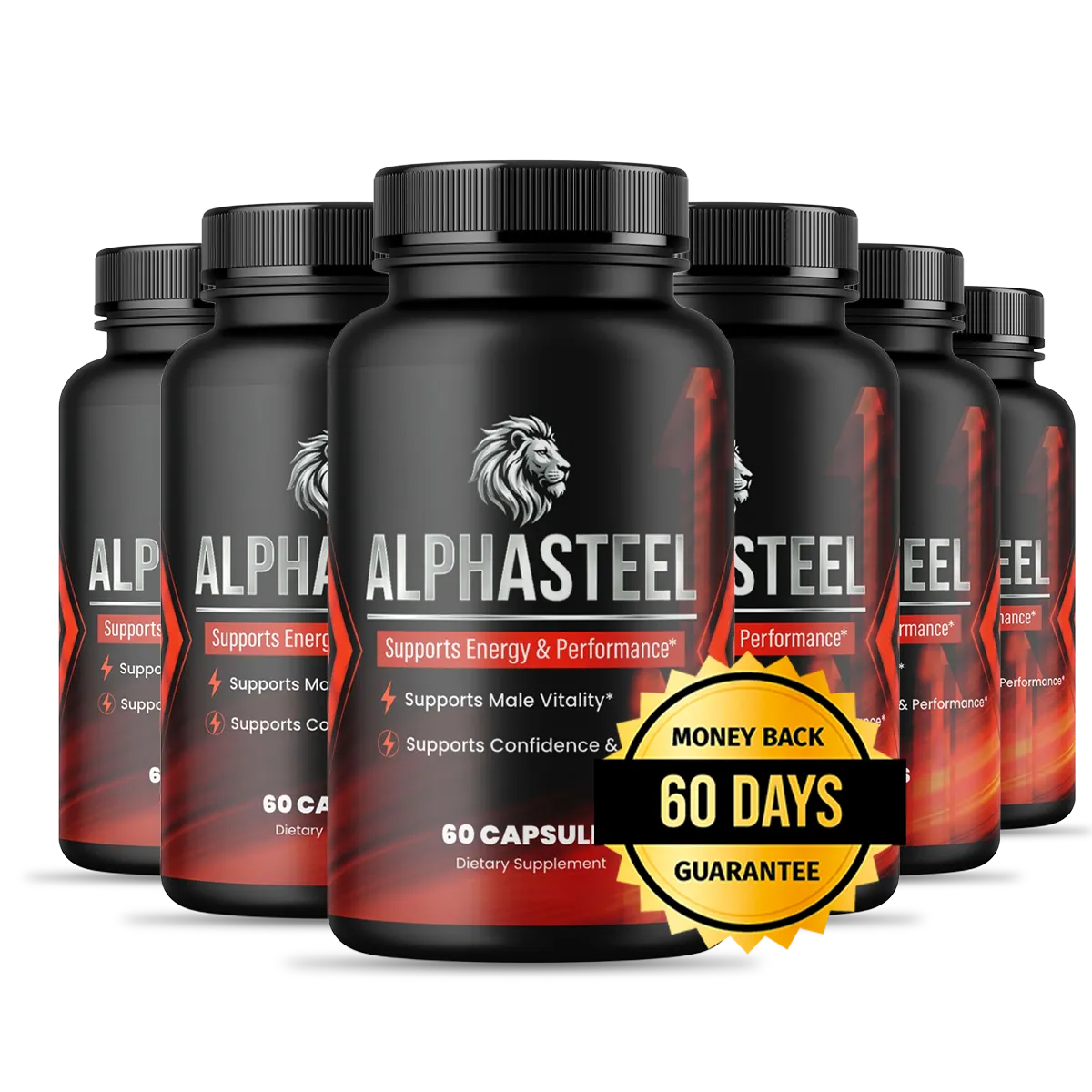 AlphaSteel six-bottle package